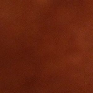 Meet your Posher, Lynette